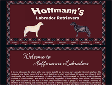 Tablet Screenshot of hoffmannslabs.com
